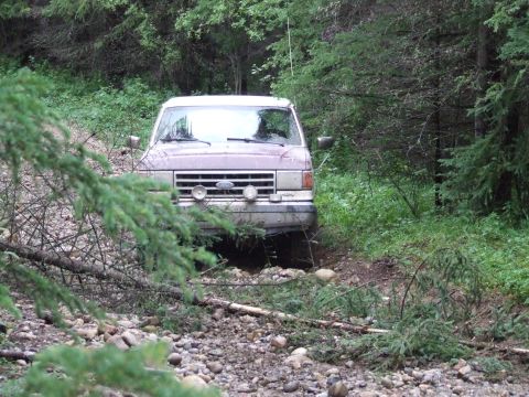 1990 Ford Bronco - This Ford Bronco is navigating a rough, overgrown path through a forest.