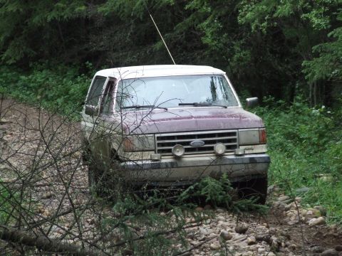 1990 Ford Bronco - A 1990 Ford Bronco navigates a rough, unpaved path through a dense forest.