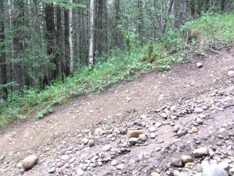 1990 Ford Bronco - A rough, rocky trail winds through a dense forest with green foliage on the slopes.
