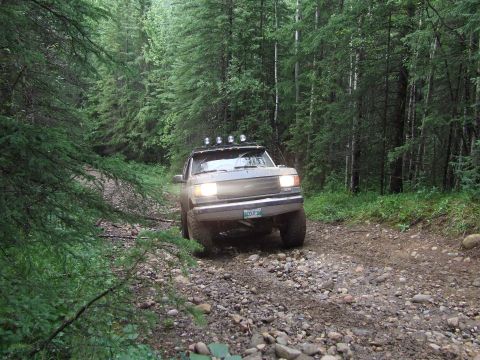 1990 Ford Bronco - A 1990 Ford Bronco navigates a rocky path through a dense forest.