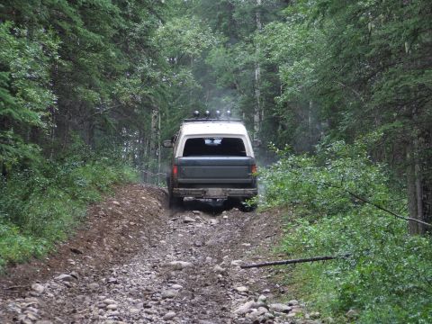 1990 Ford Bronco - A Ford Bronco navigates a rough, unpaved path through a dense forest.