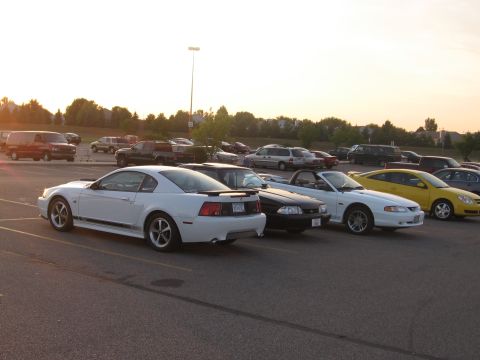 1989 Ford Mustang - SN95, fox, Mach1