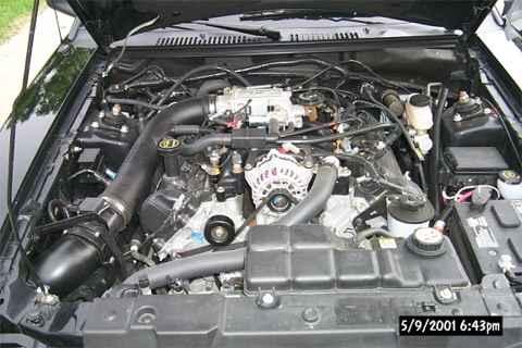 2001 Ford Mustang - The engine bay of a 2001 Ford Mustang, showing the V8 engine and associated components.