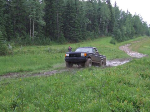 1988 Ford Bronco - A black pickup truck navigates a muddy off-road path surrounded by trees and tall grass.