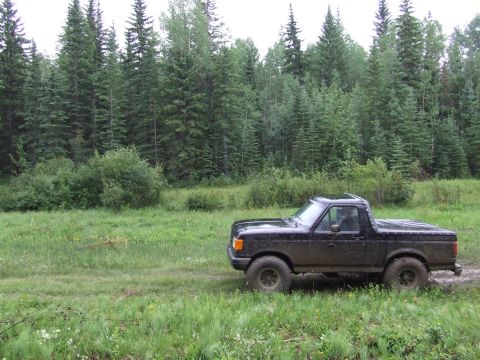 1988 Ford Bronco - A black Ford Bronco is seen from the side, parked in a muddy, grassy area with a thick forest behind it.