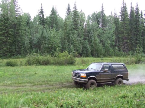1988 Ford Bronco - SUV driving on a dirt road in a grassy, wooded area.