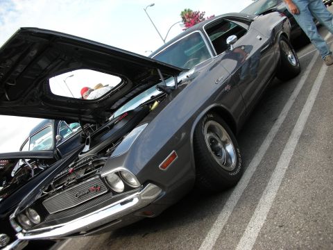 1998 Ford Crown Victoria - gray Dodge Challenger R/T muscle car photographed low from the front three-quarter with its hood raised.