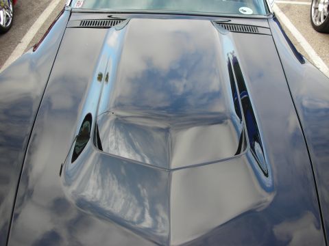 1998 Ford Crown Victoria - Close-up of a dark sports car hood featuring a raised center power bulge or scoop and louvered cowl vents reflecting the sky.