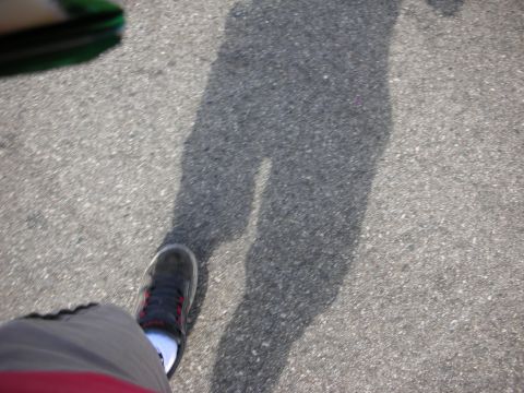 1998 Ford Crown Victoria - snapshot of the photographer's sneaker and long shadow cast on gray asphalt.