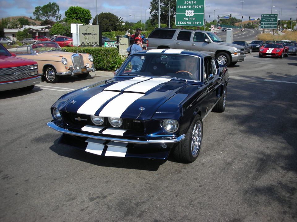 Dark blue Shelby Mustang fastback with white stripes at a car show