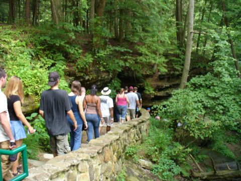 1991 Ford Probe - People walk along a stone bridge in a forest, with dense trees and greenery surrounding the path.
