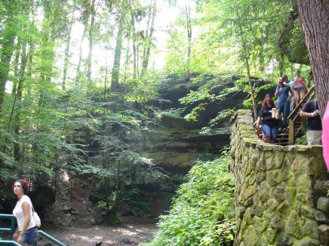1991 Ford Probe - People ascend a stone staircase through a lush, green forest with a rocky cliff face in the background.
