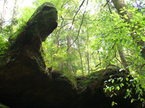 1991 Ford Probe - A natural rock overhang covered in moss and surrounded by lush green forest.