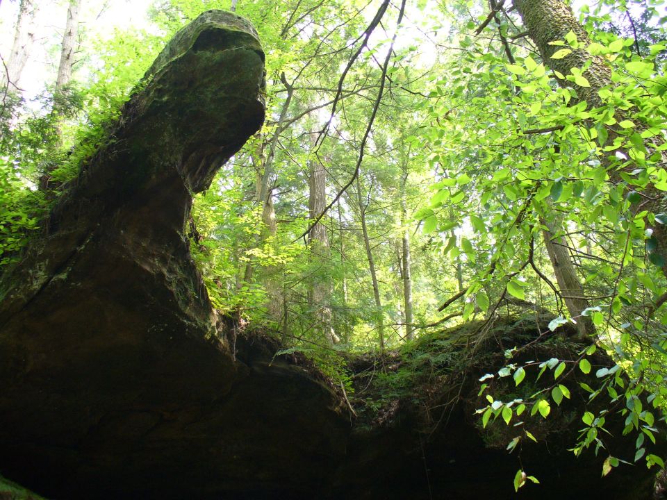 Large moss-covered rock formation with trees and foliage in the background
