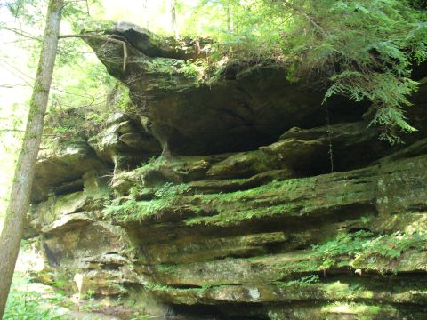 1991 Ford Probe - A natural rock formation covered in moss and vegetation, with a tree trunk visible on the left.