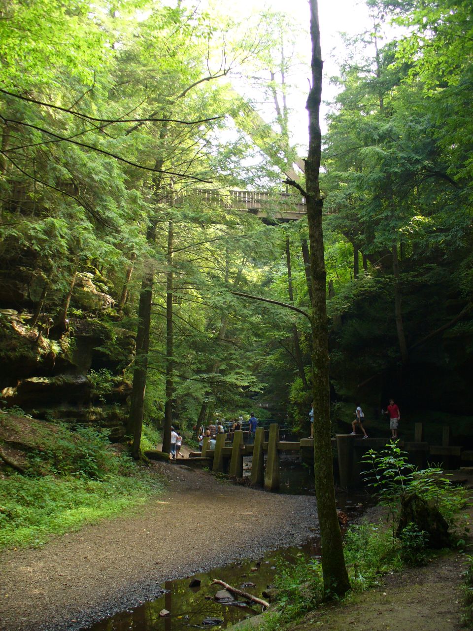 Wooded gorge with a gravel path, wooden bridge, and people walking