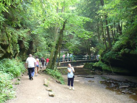 1991 Ford Probe - People walk along a path in a lush, green gorge with a bridge spanning a creek.