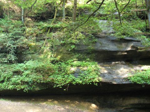 1991 Ford Probe - A natural scene of a rocky cliff face covered in greenery, with a body of water at its base.