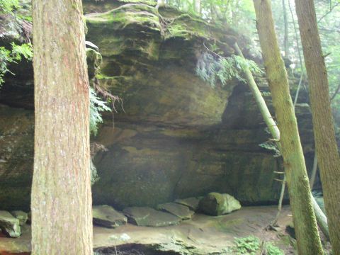 1991 Ford Probe - A natural rock formation covered in moss is surrounded by trees in a forest setting.