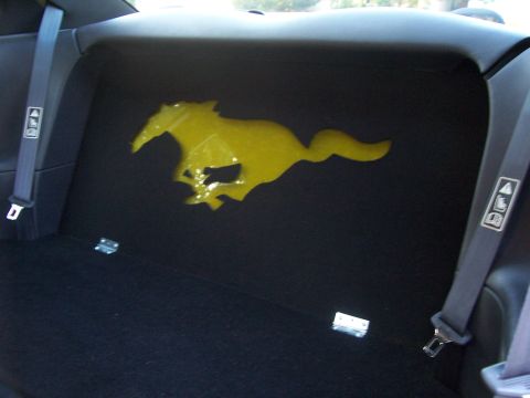 2002 Ford Mustang - Pony rear seat delete.