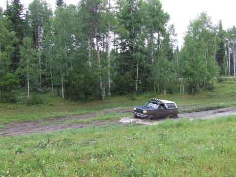 1988 Ford Bronco - Ford Bronco navigating a muddy off-road path surrounded by dense forest.