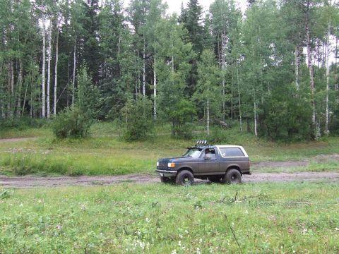 1988 Ford Bronco - A dark-colored Ford Bronco is parked on a dirt road surrounded by a forest.
