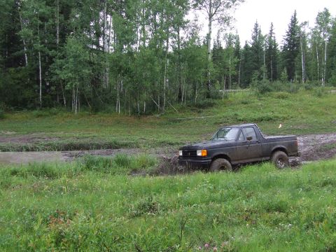 1988 Ford Bronco - A black Ford F-150 pickup truck navigates a muddy off-road course.