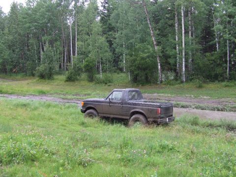 1988 Ford Bronco - This 1987 Ford Bronco is seen off-road in a grassy area with trees in the background.