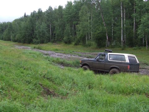 1988 Ford Bronco - This SUV, likely a 1987 model, is stuck in a muddy track surrounded by trees.