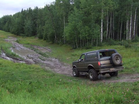 1988 Ford Bronco - A dark-colored Ford Bronco navigates a wet, off-road path surrounded by trees.