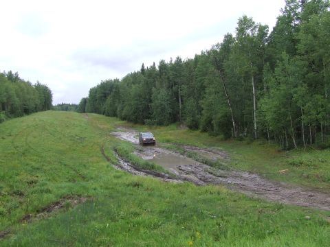 1988 Ford Bronco - An SUV drives through a muddy, rutted path in a wooded area, with tall green trees lining the sides of the track.