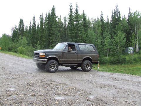 1988 Ford Bronco - A dark green SUV drives on a gravel road surrounded by a dense forest.