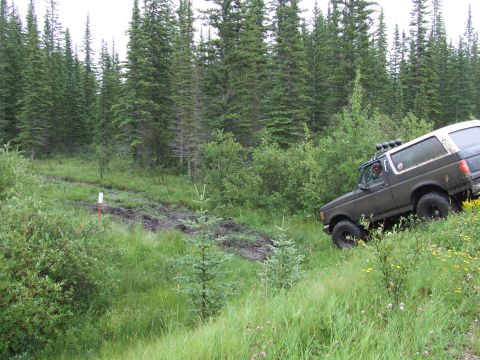 1988 Ford Bronco - Ford Bronco navigates a challenging muddy trail through a dense forest.