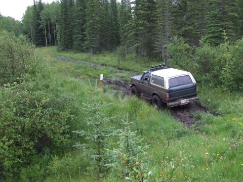 1988 Ford Bronco - A dark green and white Ford Bronco navigates a muddy, overgrown path surrounded by dense forest.
