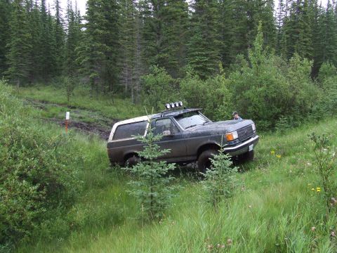 1988 Ford Bronco - This 1988 Ford Bronco navigates a muddy trail surrounded by dense forest and tall grass.