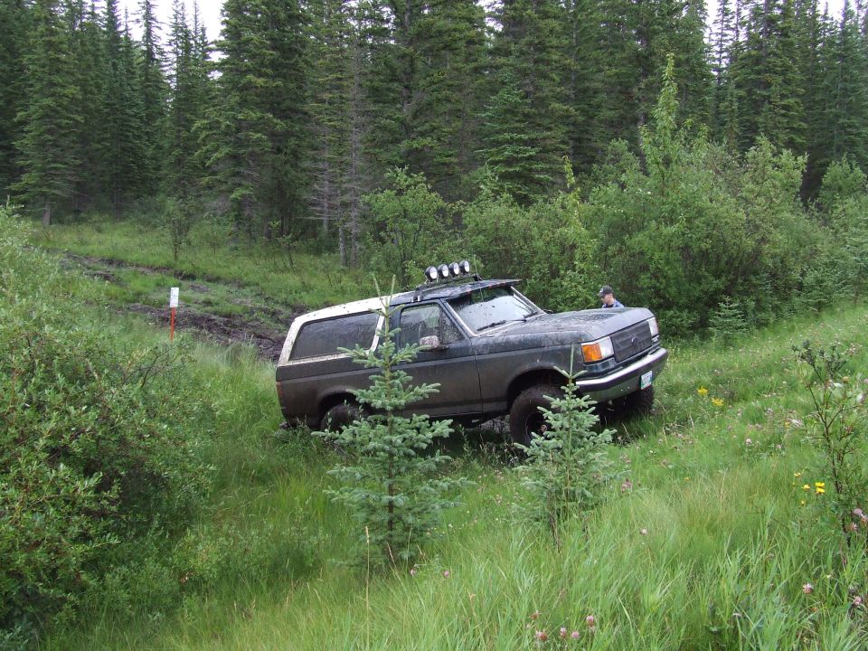Dark 1988 Ford Bronco with white top driving off-road through tall grass and mud