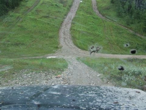 1988 Ford Bronco - The view from inside a vehicle shows a fork in a dirt road leading up a grassy hill.
