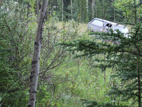 1988 Ford Bronco - A silver 1988 Ford Bronco is parked on a grassy slope surrounded by trees.