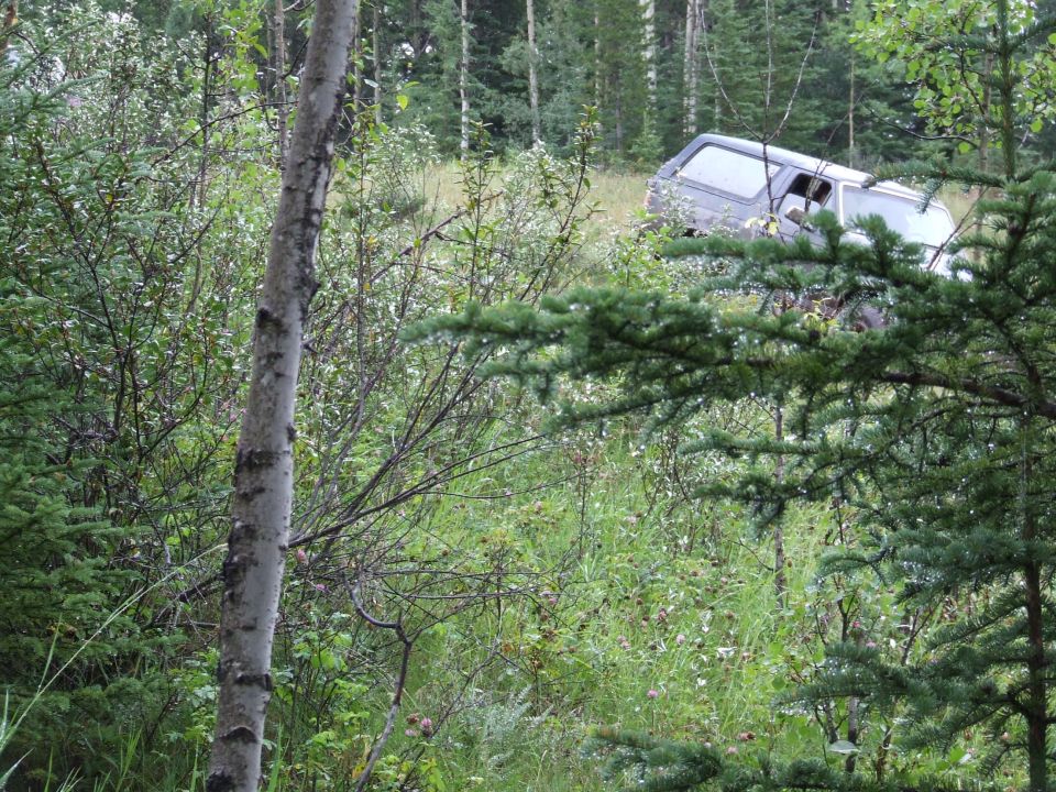 Silver 1988 Ford Bronco parked on grassy slope in forest