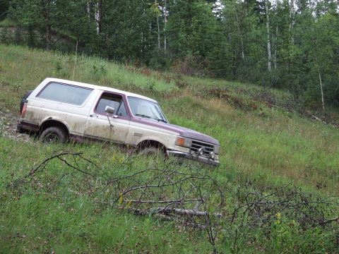 1988 Ford Bronco - 1988 Ford Bronco on a grassy hill, likely off-road.