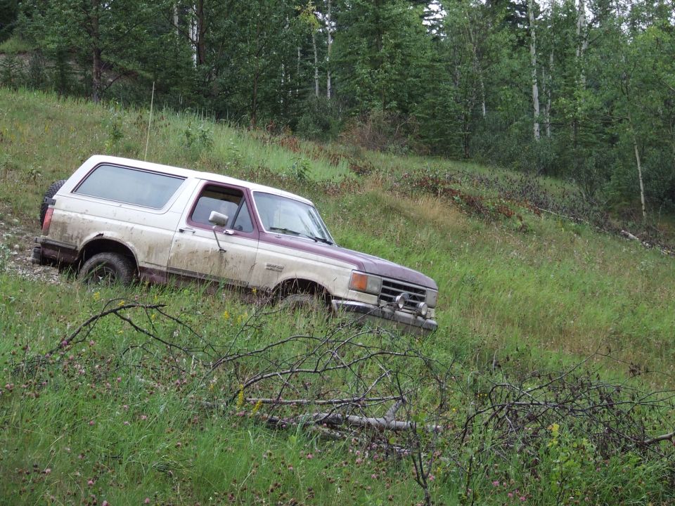 1988 Ford Bronco parked on a grassy slope with trees in the background