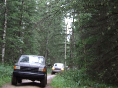 1988 Ford Bronco - Two pickup trucks travel down a wooded dirt road lined with tall evergreen trees, headlights on.