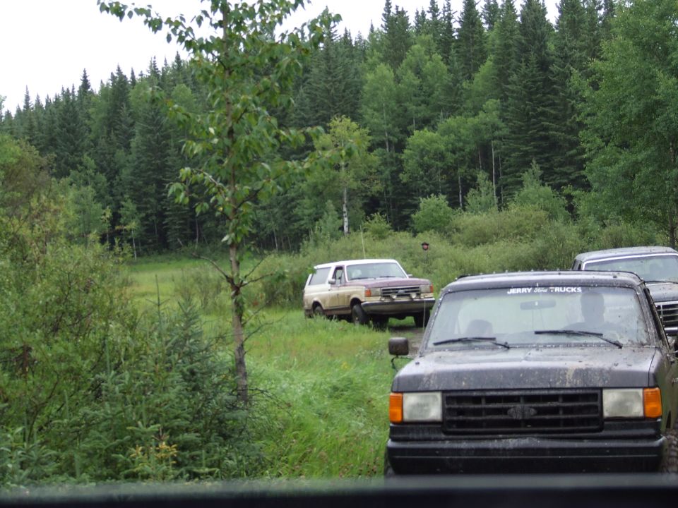 Two-tone 1987 Ford Bronco in a wooded area