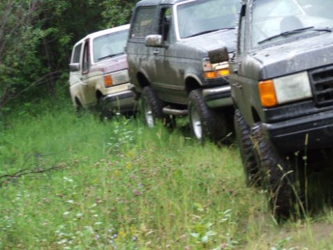 1988 Ford Bronco - Three SUVs navigate a grassy, off-road trail, with a maroon and white Ford Bronco II visible in the background.