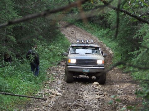 1988 Ford Bronco - A gray SUV navigates a rough, wooded trail, its license plate clearly visible.