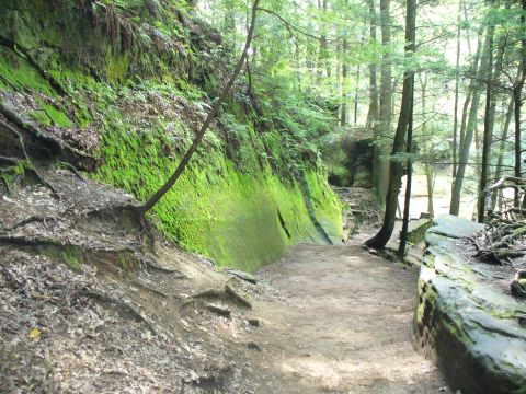 1991 Ford Probe - A dirt path winds through a forest, bordered by a steep cliff covered in vibrant green moss.