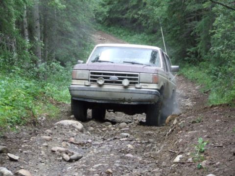 1988 Ford Bronco - A 1987 Ford Bronco navigates a challenging, rocky trail surrounded by dense trees.