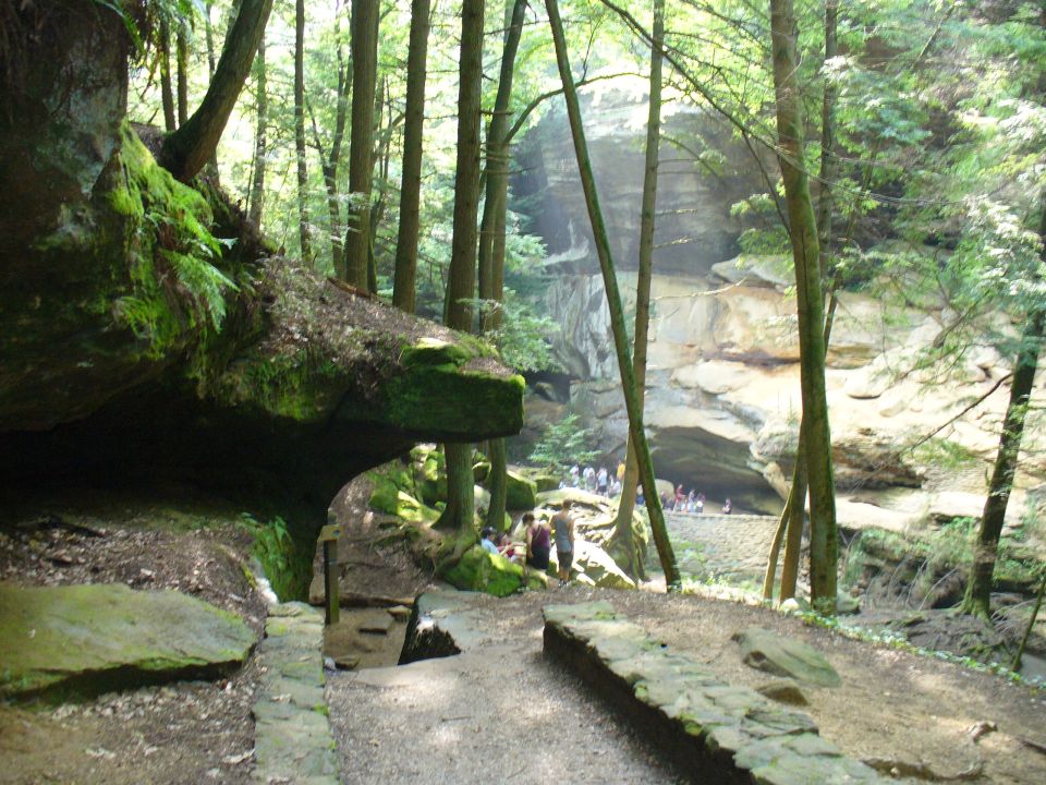 Forest scene with mossy rocks, trees, and a cave entrance with people