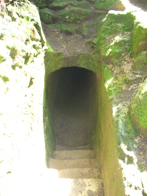 1991 Ford Probe - A mysterious, moss-laden tunnel beckons with stone steps descending into shadow.