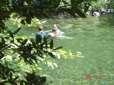 1993 Ford Bronco - People enjoying a swim in a river on a sunny day, with a watermark at the bottom right.